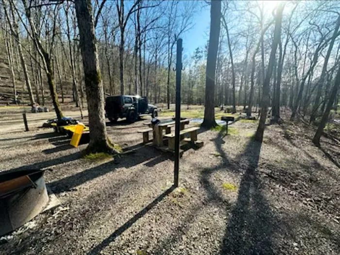 Camp Site C19 3