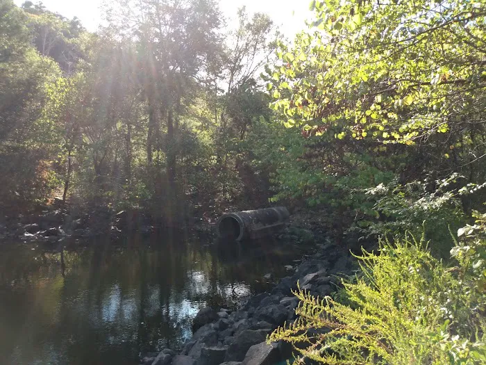 Little Pines Recreation Area 4