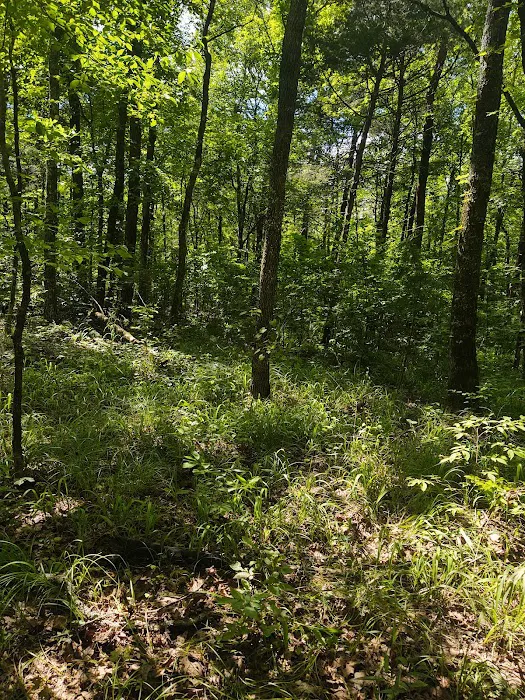Fourche Mountain Adventures 2