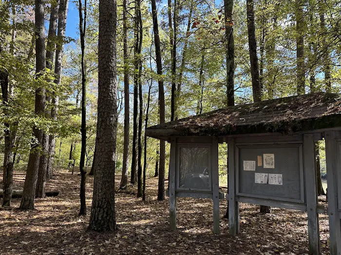Shirley Creek Recreation Site 7
