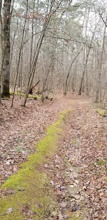 Shirley Creek Recreation Site 4