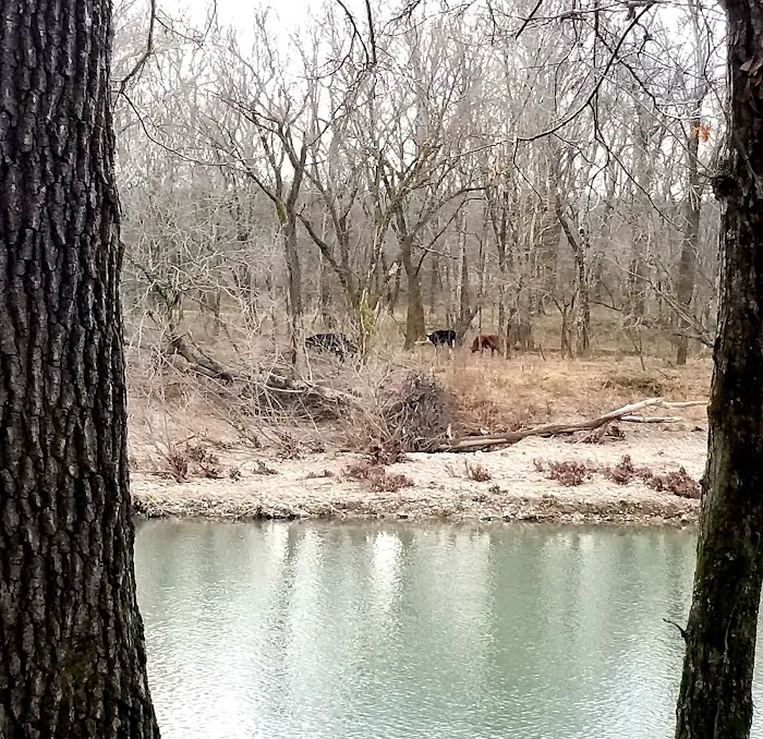 Shirley Creek Recreation Site 6