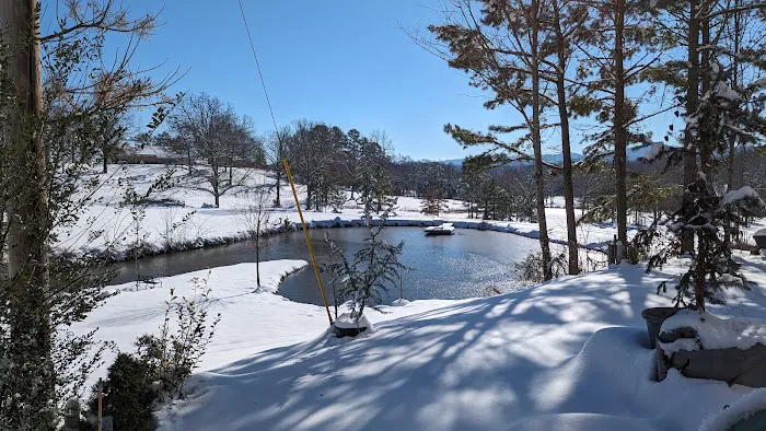 Ouachita Campground at Edendell 8