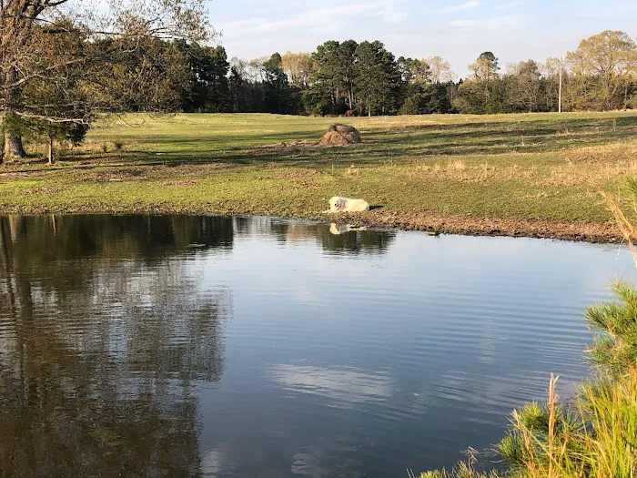Rafter KO Ranch 4