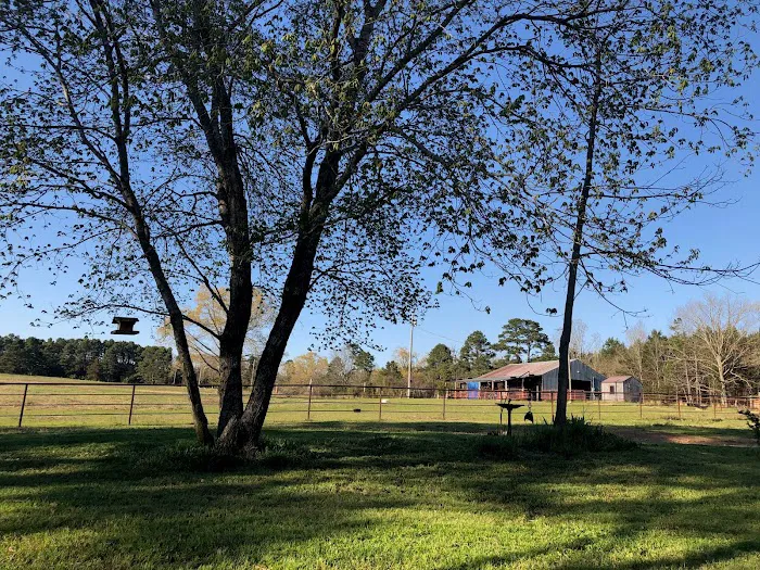 Rafter KO Ranch 10