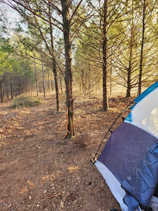 Hidden Springs Camping Retreat 2