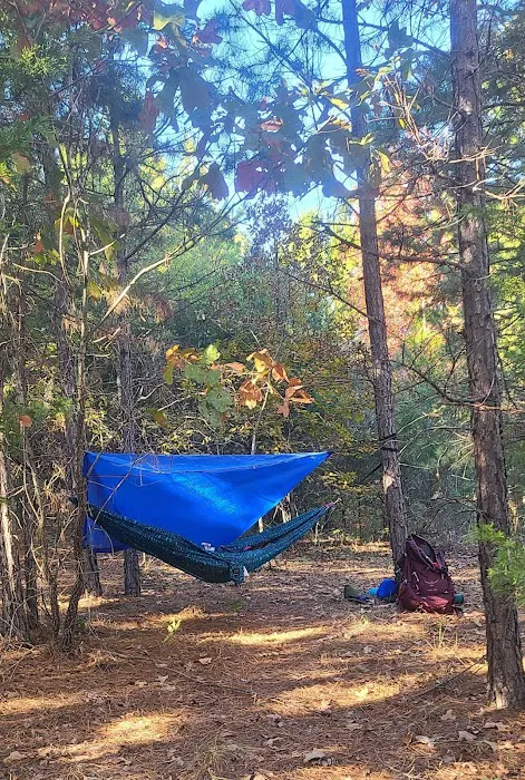 Hidden Springs Camping Retreat 4