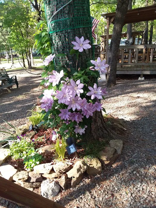 Lakeside RV Park 8