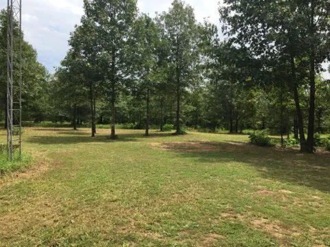 Eclipse-it-here campground 5