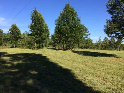 Eclipse-it-here campground 2