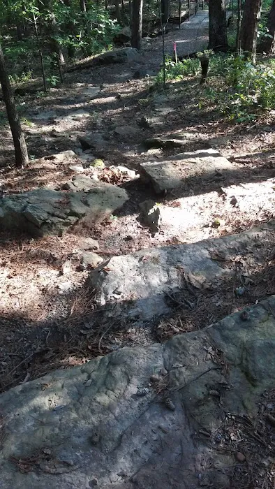 Heber Springs Mobile Home Community 8