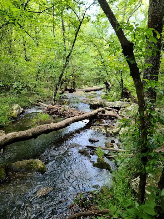John F. Kennedy Park Campground 10