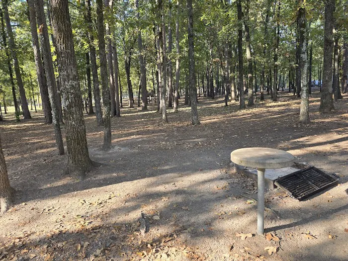 Dam Site Campground 1