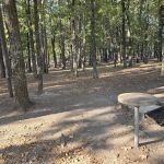 Dam Site Campground