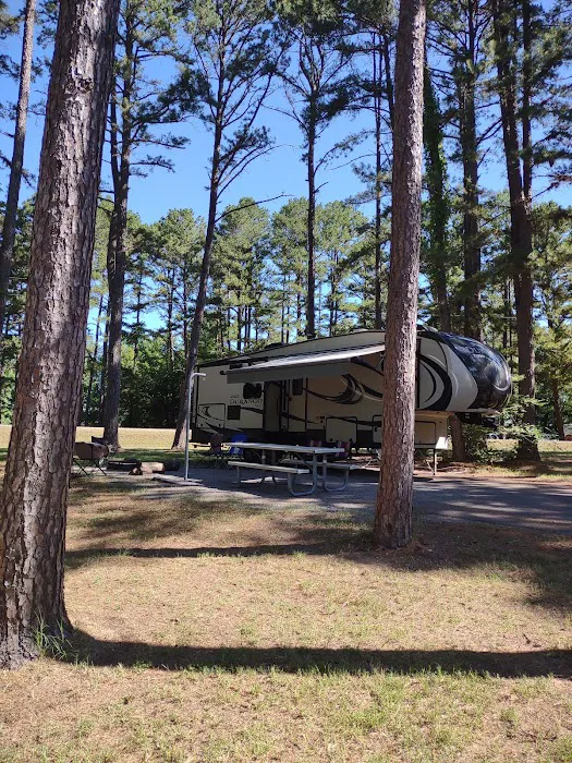 Dam Site Campground 9