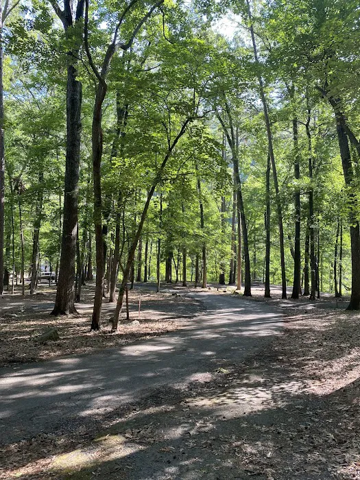 Blanchard Springs Campground 9