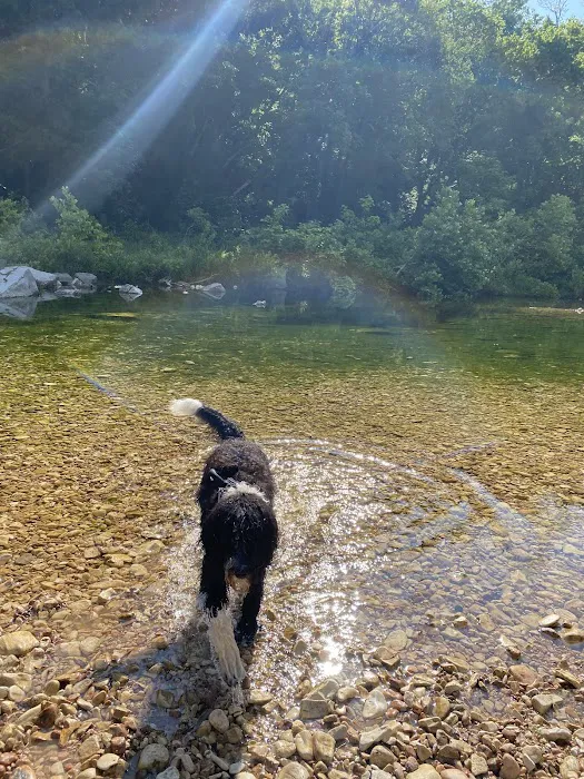 Blanchard Springs Campground 7