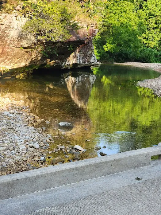 Barkshed Campground 4