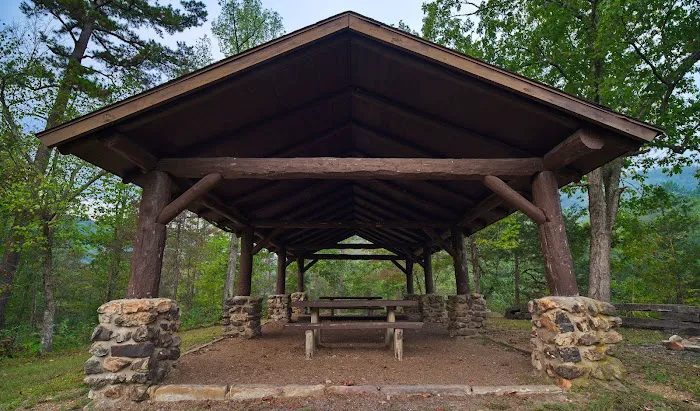 Barkshed Campground 6