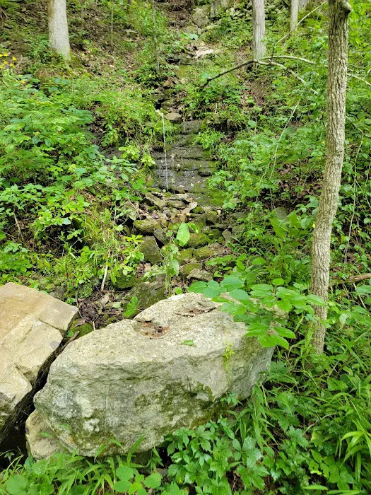 Barkshed Campground 7
