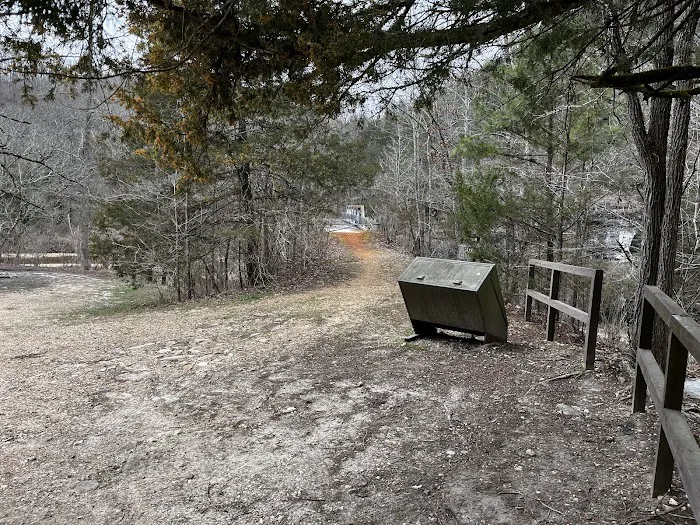 Barkshed Campground 8