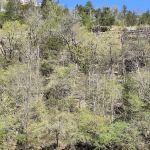 Sylamore Creek Camp
