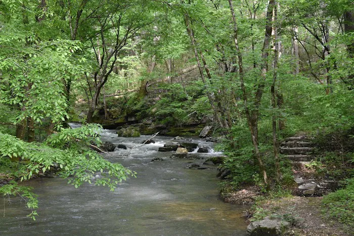 Sylamore Ranger District Office 7