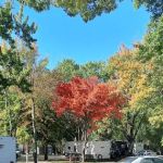 Trailside RV Park & Propane