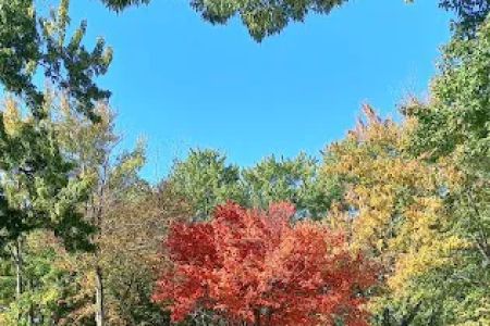 Trailside RV Park & Propane