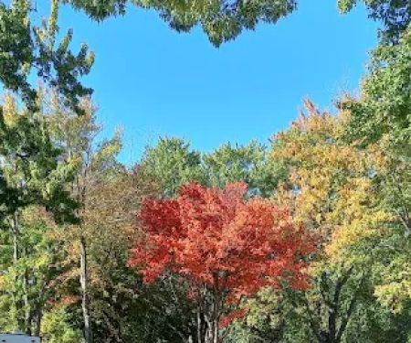 Trailside RV Park & Propane