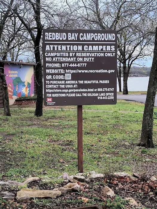 Redbud Bay Campground 2