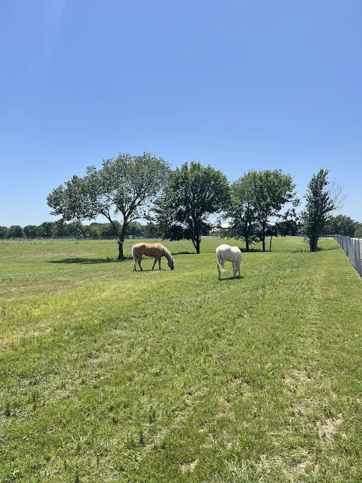 Route 66 RV and Ranch 5