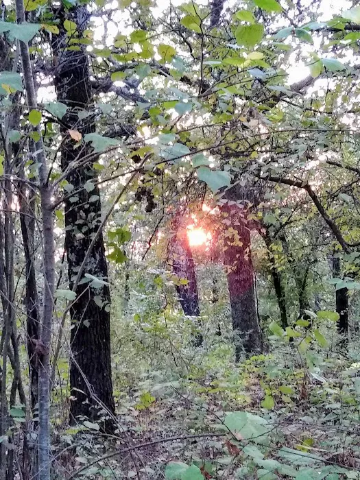Twin Coves Campground 4