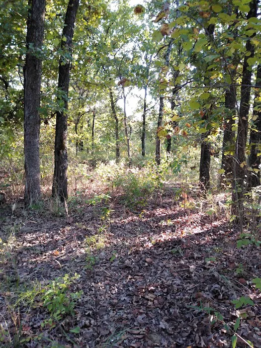 Twin Coves Campground 5