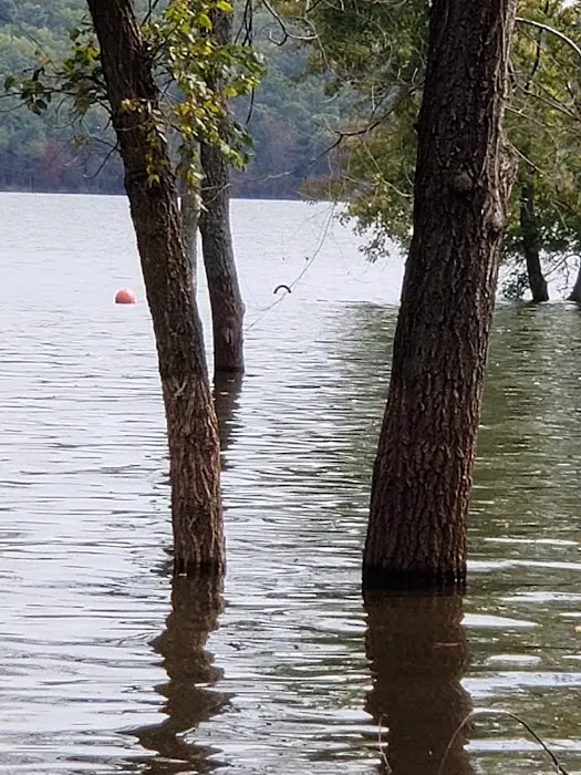 Walnut Campground 3