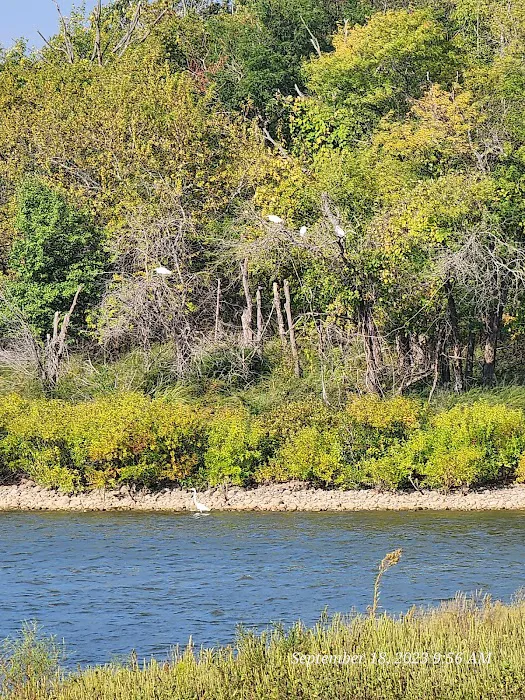Walnut Campground 9
