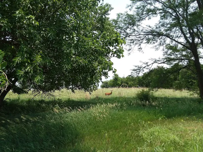 Hickory Campground 10