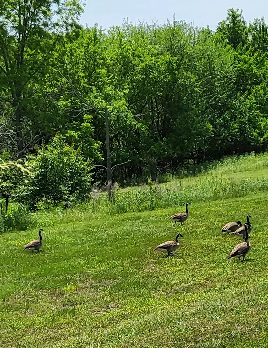 Cedar Ridge Campground 2