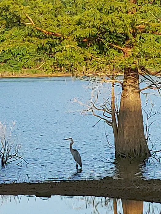 Snake Creek Campground 3