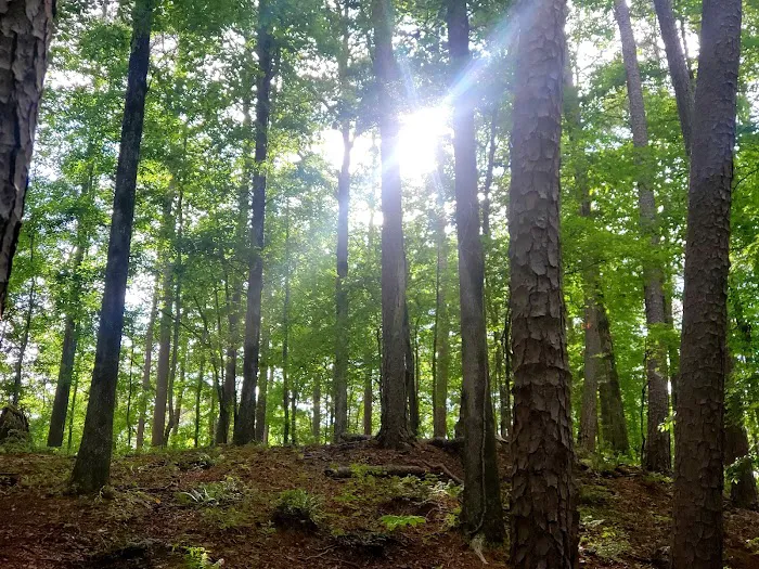 Charlton Recreation Area 7