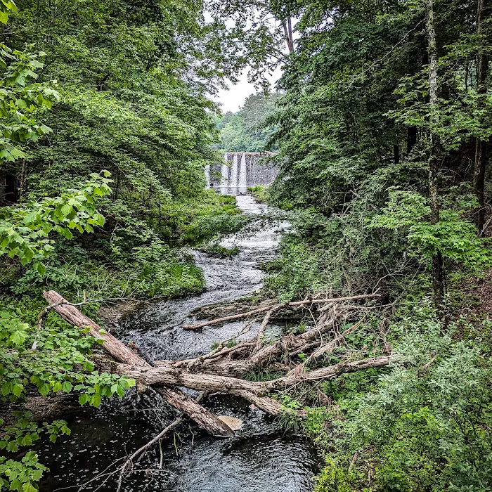 Camp Clearfork 6