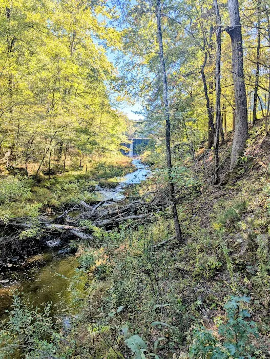 Camp Clearfork 1