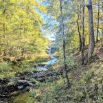 Camp Clearfork