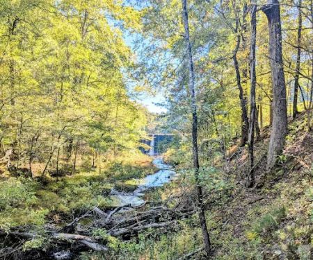 Camp Clearfork