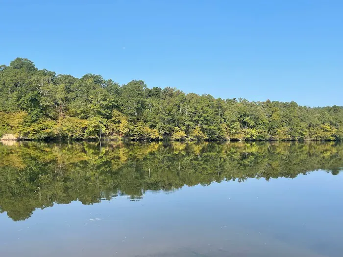 The Vista at the Lake 9