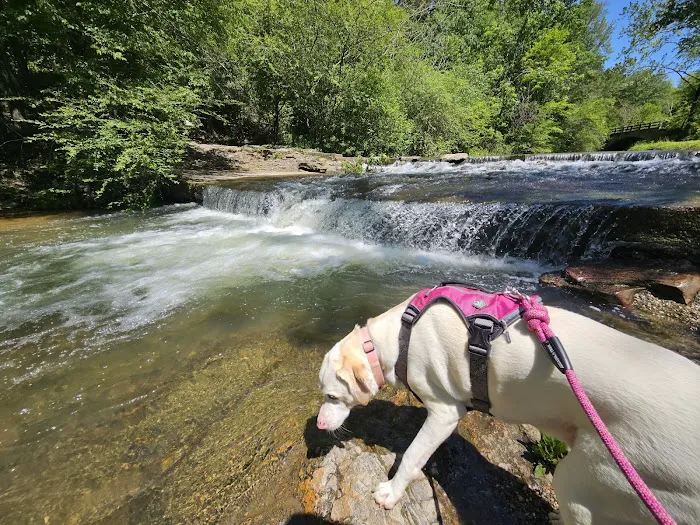 Gulpha Gorge Campground 8