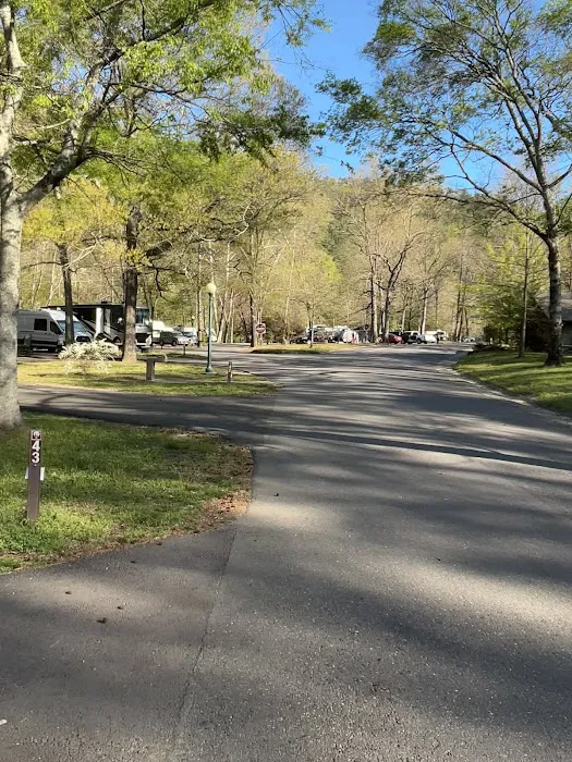 Gulpha Gorge Campground 3