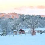 Lake Hamilton Estates