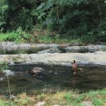 J & J RV Park & Storage