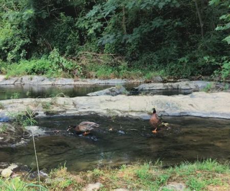 J & J RV Park & Storage